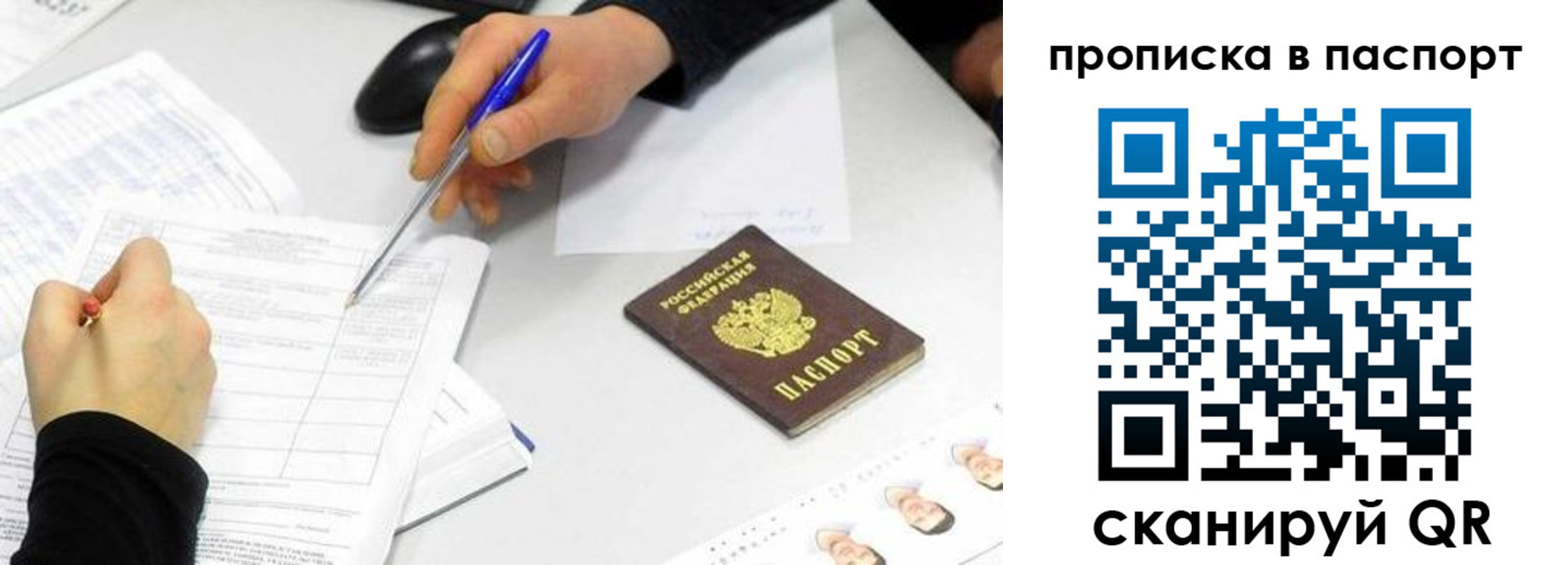 прописка поиск в Алейске